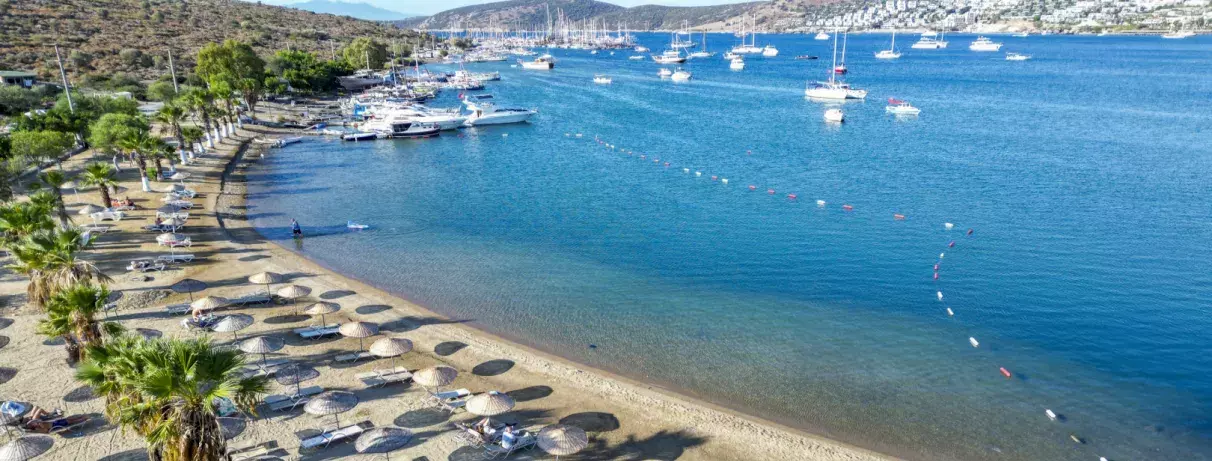 vue d'ensemble de la plage avec des transats et des parasols