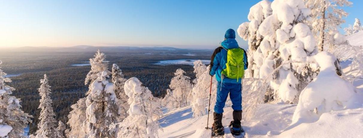 ski 