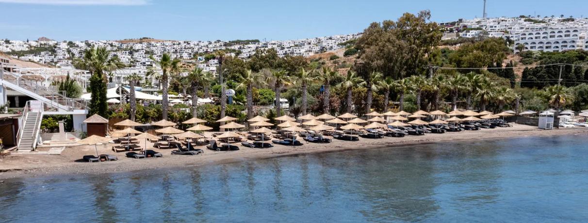 vue d'ensemble plage 
