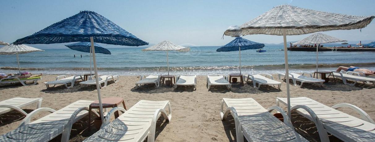 plage avec transats et parasols