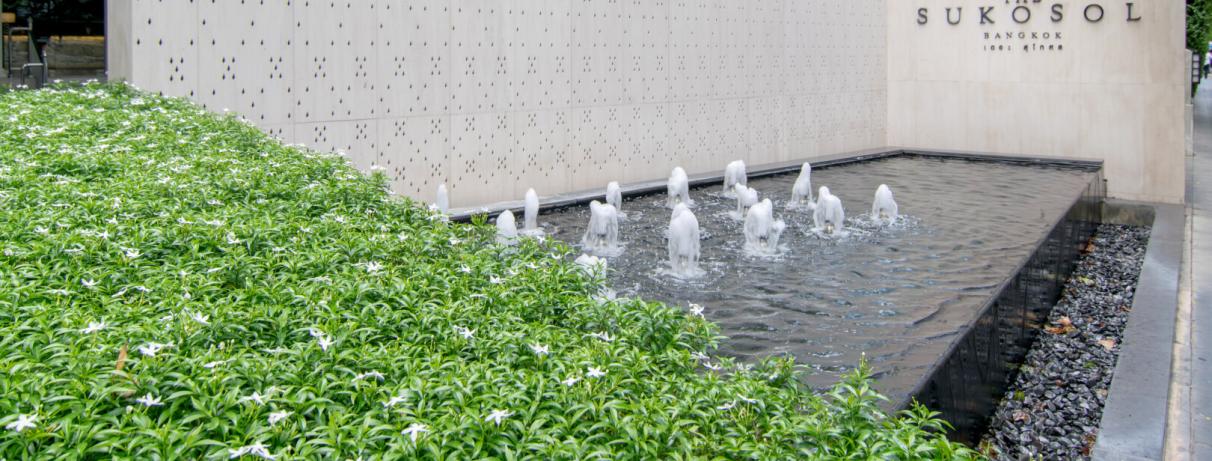 fontaine sukosol