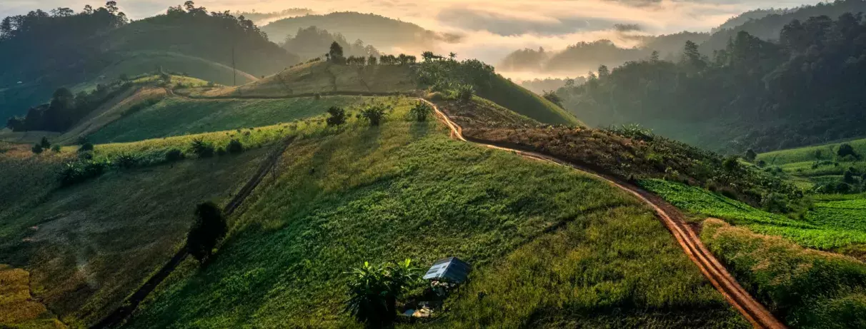 rizières sur des collines avec un soleil et des nuages