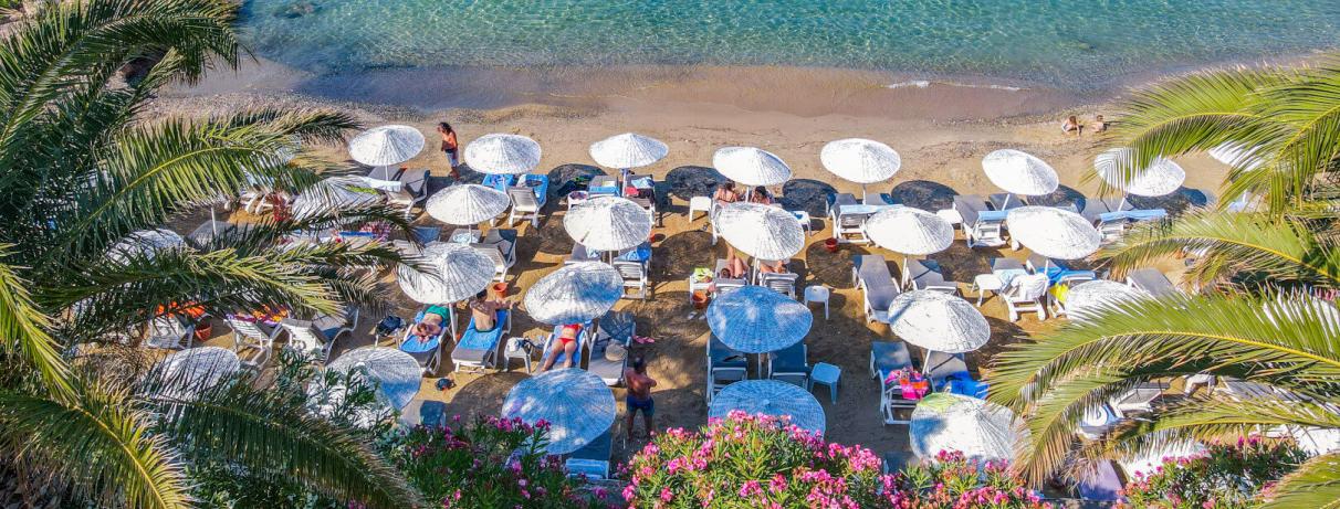 plage avec transats et parasols