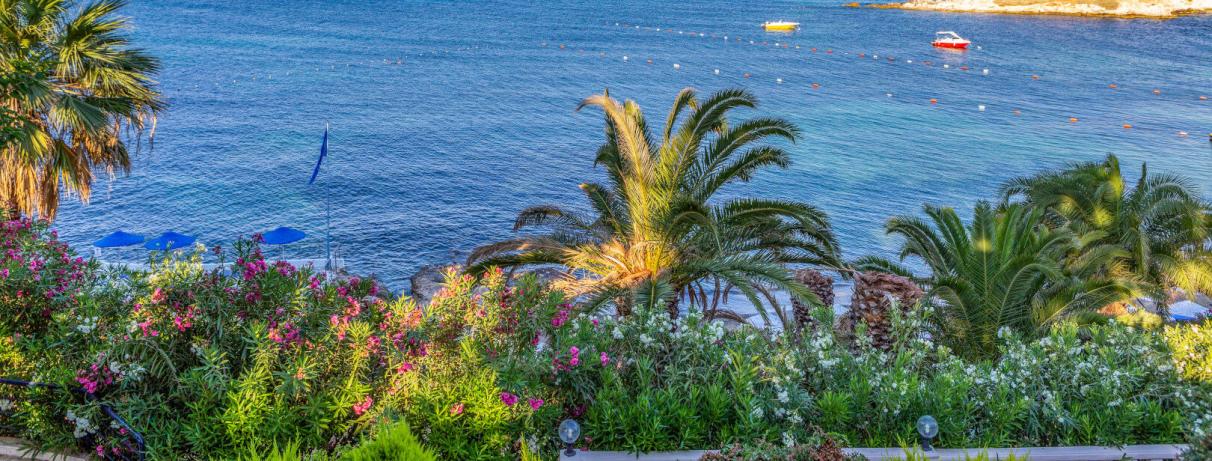 vue sur la mer