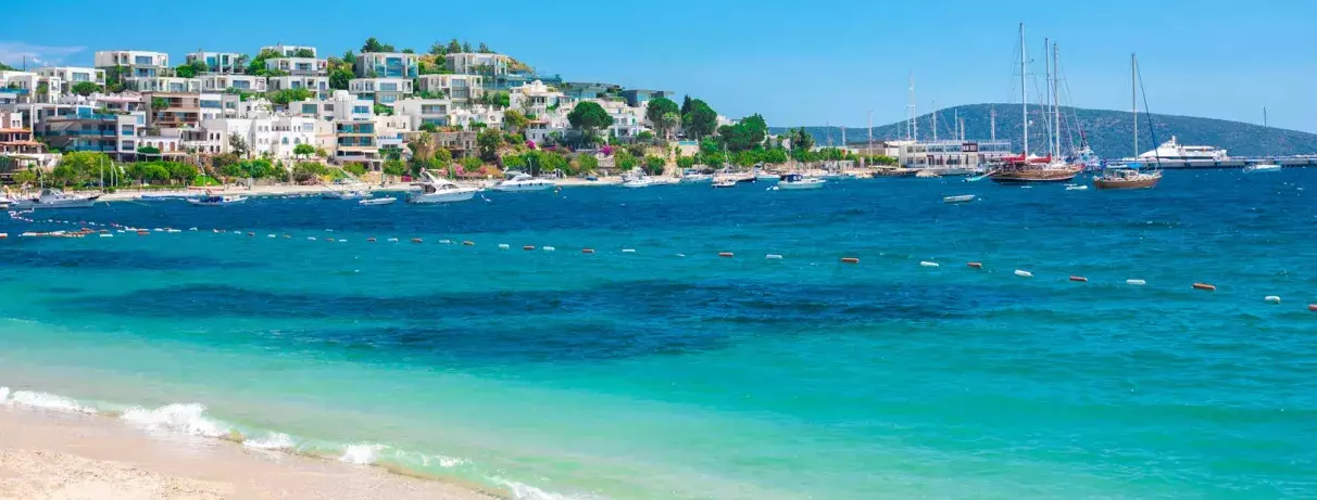 vue de la plage et des habitations sur la côte