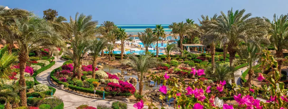 vue aérienne palmiers plage piscine