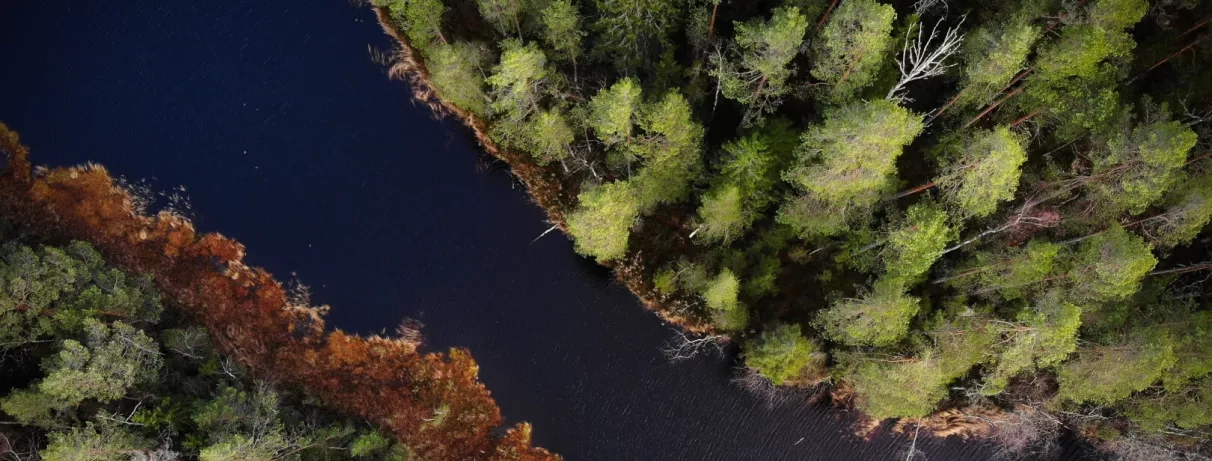Vue aérienne d'une rivière entouré de grands arbres 