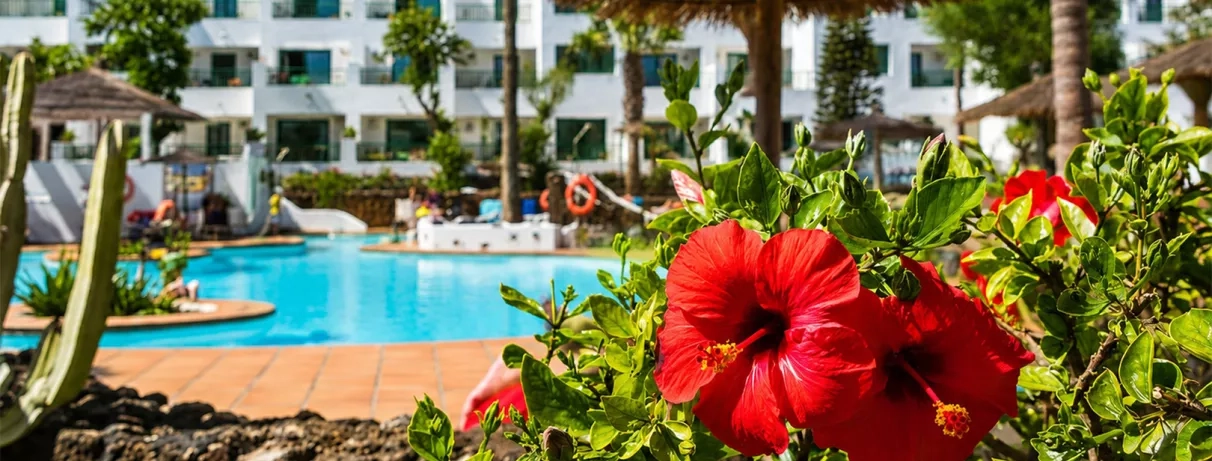Un gros plan sur des fleurs d'hibiscus rouge, et en arrière-plan la piscine et l'hôtel.