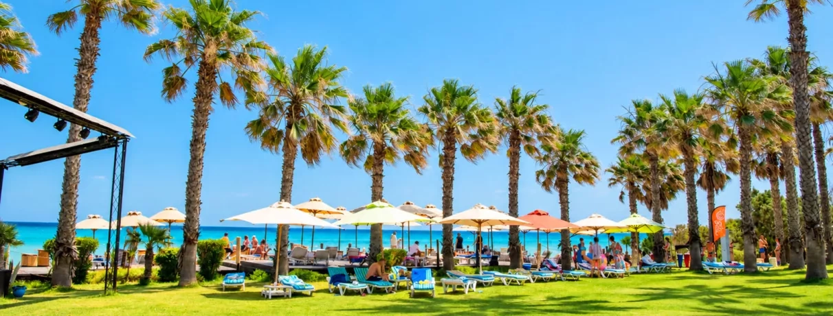 Transats et parasols installés dans les jardins arborés de palmiers au Mondi Club Thalassa Mahdia à proximité directe de la plage.