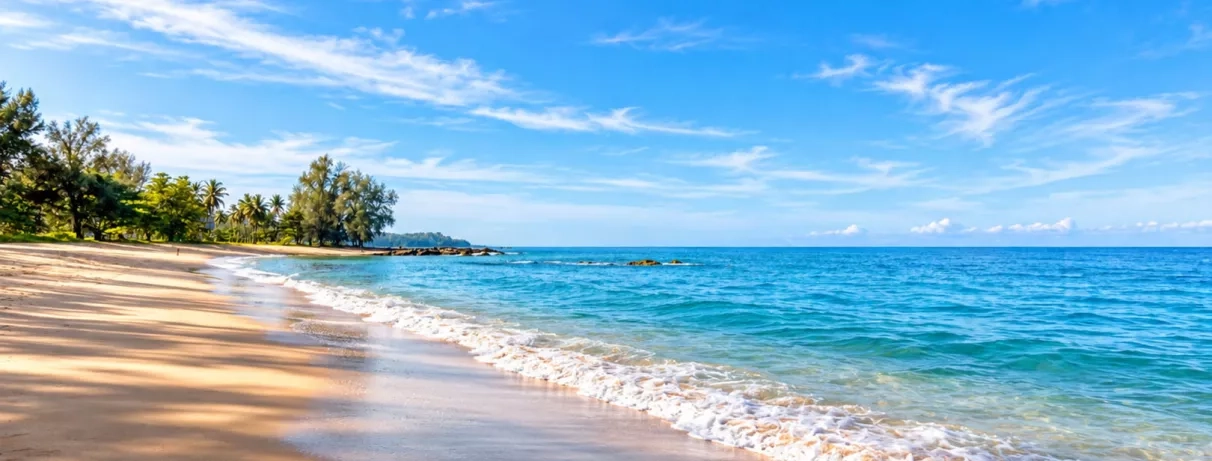 vue de la plage avec la mer et des arbres le long du rivage