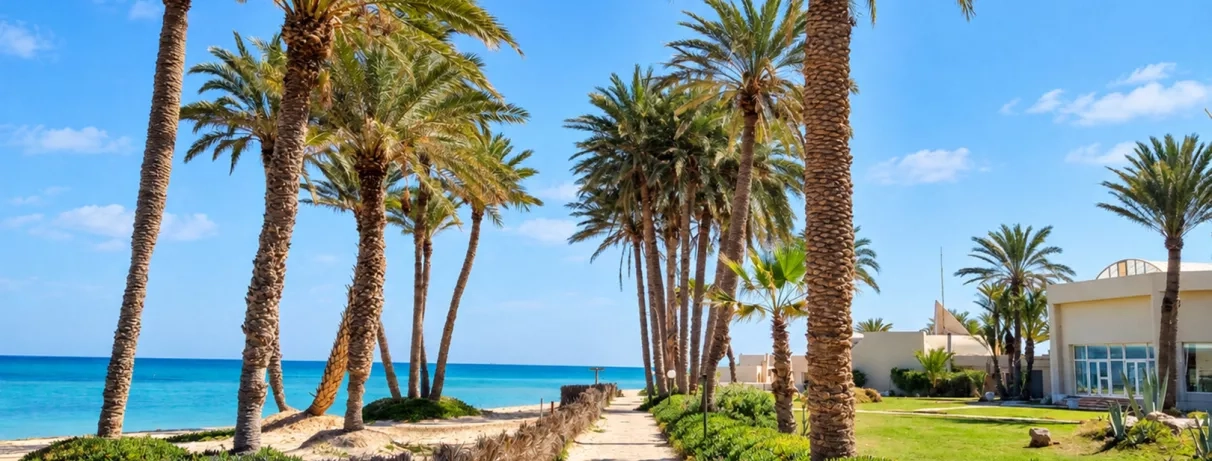 Allée bordée de palmiers et vue sur la mer au Zita Beach Resort Zarzis.