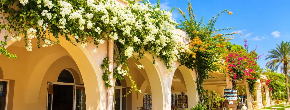 Architecture traditionnelle et bougainvilliers en fleurs au Mondi Club Zita Beach Resort.
