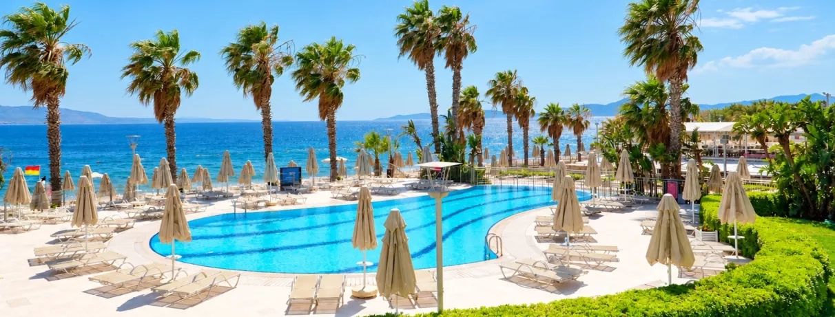vue de la piscine extérieur et palmiers