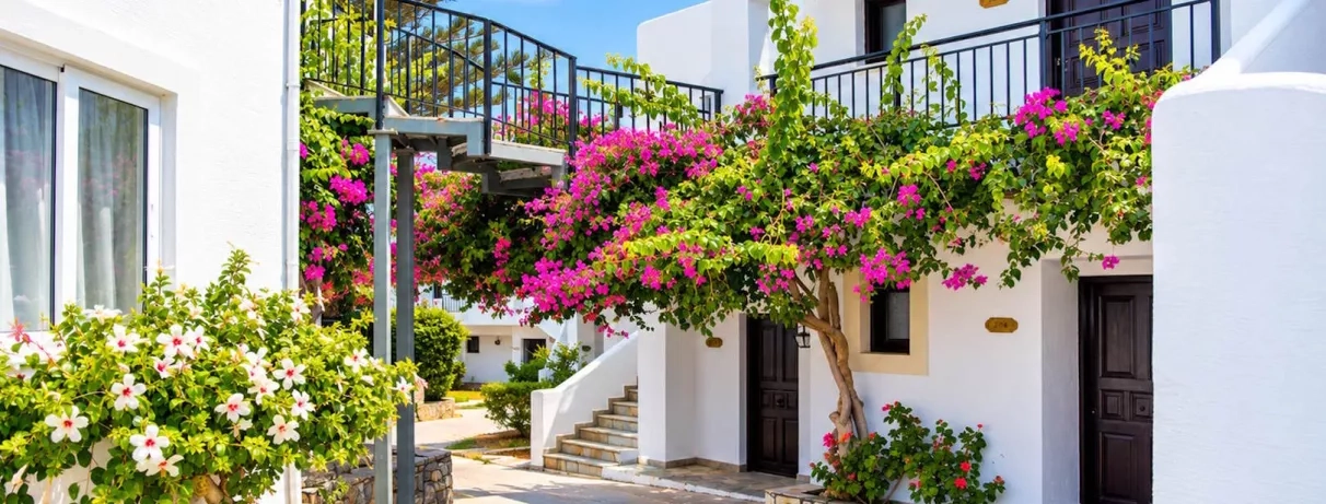 vue jardin avec fleurs et batiments