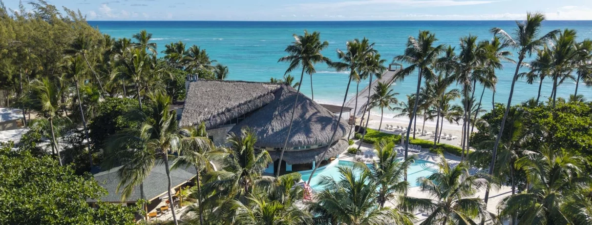 vue sur les cocotiers et la plage