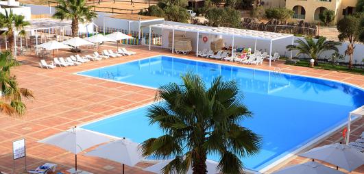 piscine avec palmiers