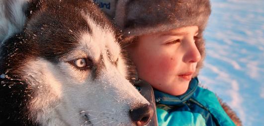 enfant et husky cote à côte