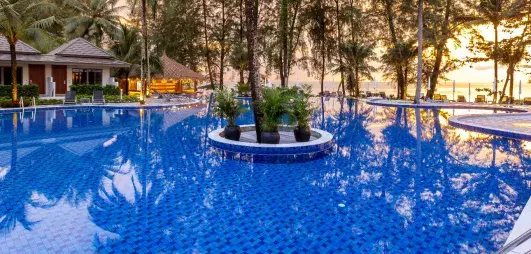 piscine extérieur avec palmiers au milieu