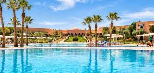 vue panoramique sur la piscine avec des palmiers au jardin d'à côté et un ciel bleu au fond