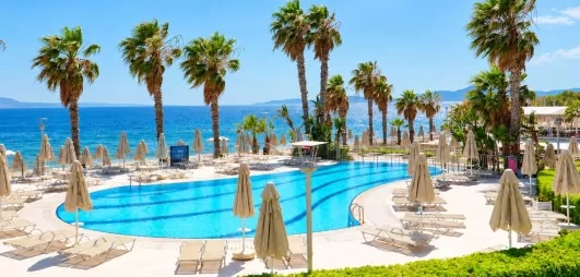 vue de la piscine extérieur et palmiers