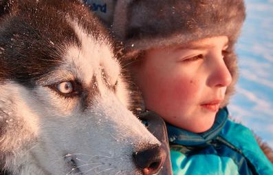 enfant et husky cote à côte
