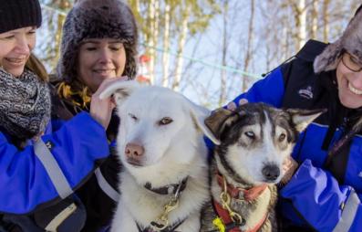 femmes avec chiens