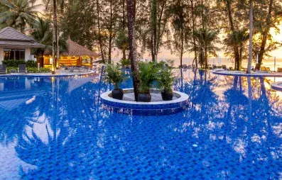 piscine extérieur avec palmiers au milieu