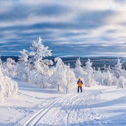 Skieur neige