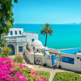 maison blanche et bleue devant mer