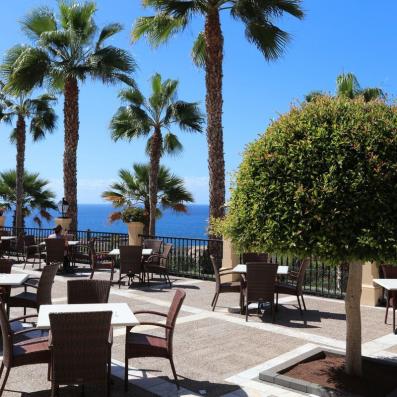 terrasse avec palmiers et vue sur mer