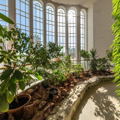 plantes dans hall hôtel