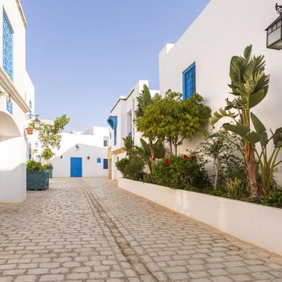 ruelle pavée avec maison blanches et volets bleus