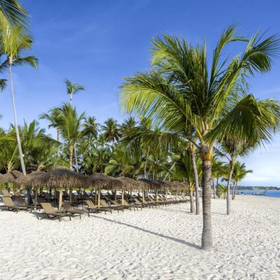 plage avec cocotiers