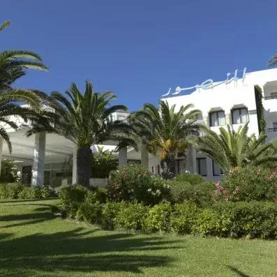 palmiers avec en arrière plan l'hôtel