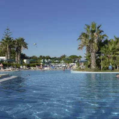 piscine devant palmiers