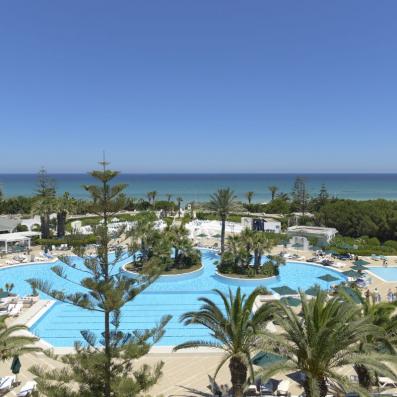 piscine avec palmiers