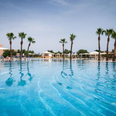piscine devant palmiers