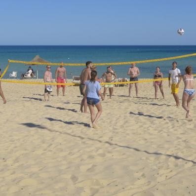 groupe jouant au beach volley
