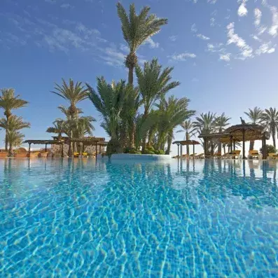 piscine avec palmiers