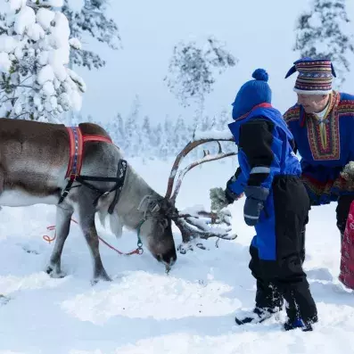 enfant avec renne