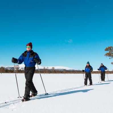 personnes faisant du ski de fond