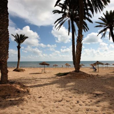 plage avec palmiers