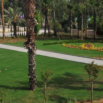 jardin