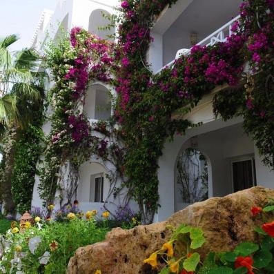 bâtiment hôtel avec bougainvilliers roses