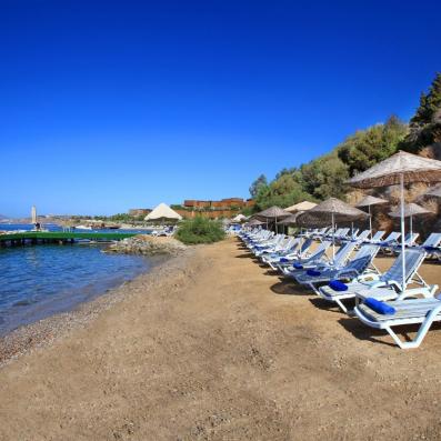 plage avec transats et parasols