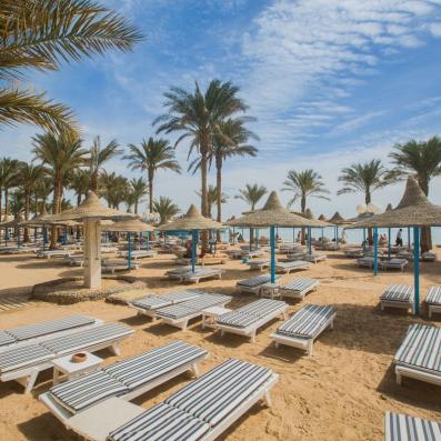 plage avec parasols et transats