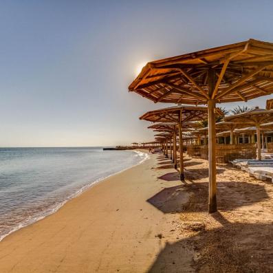 plage avec parasols