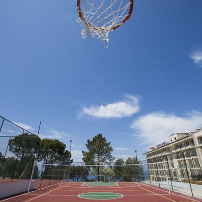 basket