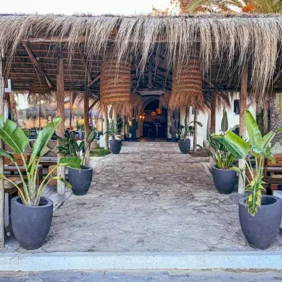 entrée restaurant avec plantes