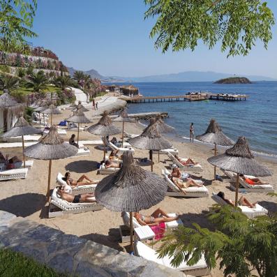 plage avec parasols